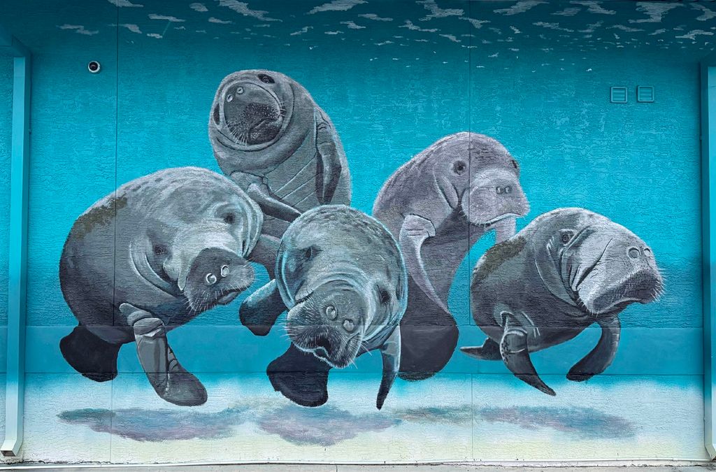 Manatee Mural - Tarpon Fishing Outfitters - Holida