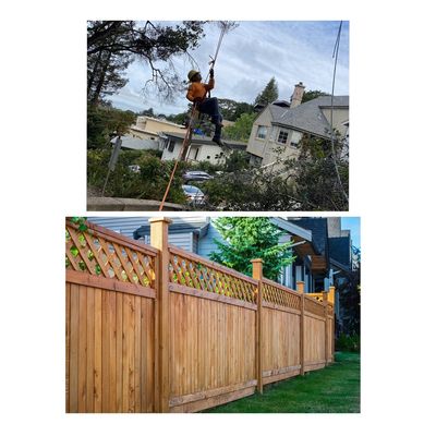 Avatar for EG FENCE & TREE SERVICES