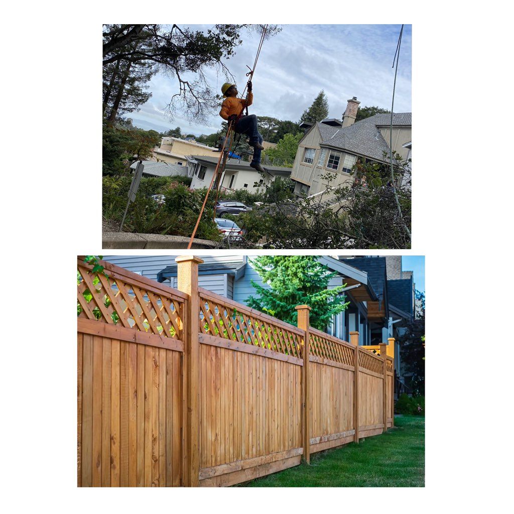 EG FENCE & TREE SERVICES