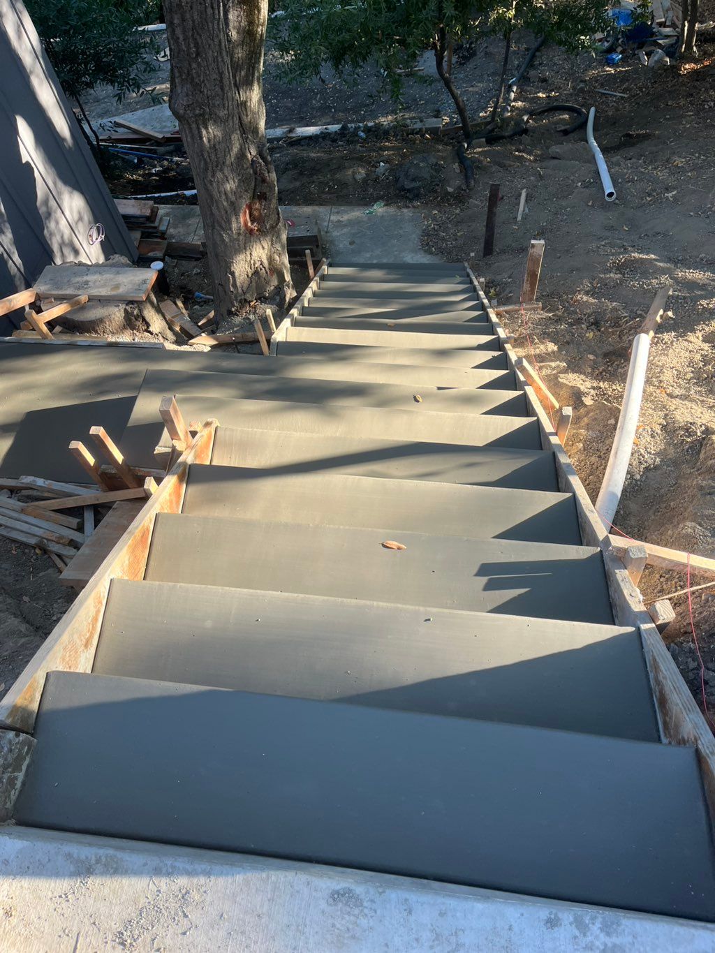 Projects and media