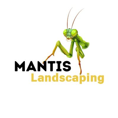 Avatar for Mantis Landscape