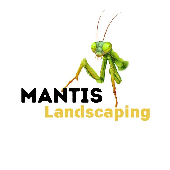 Mantis Landscape
