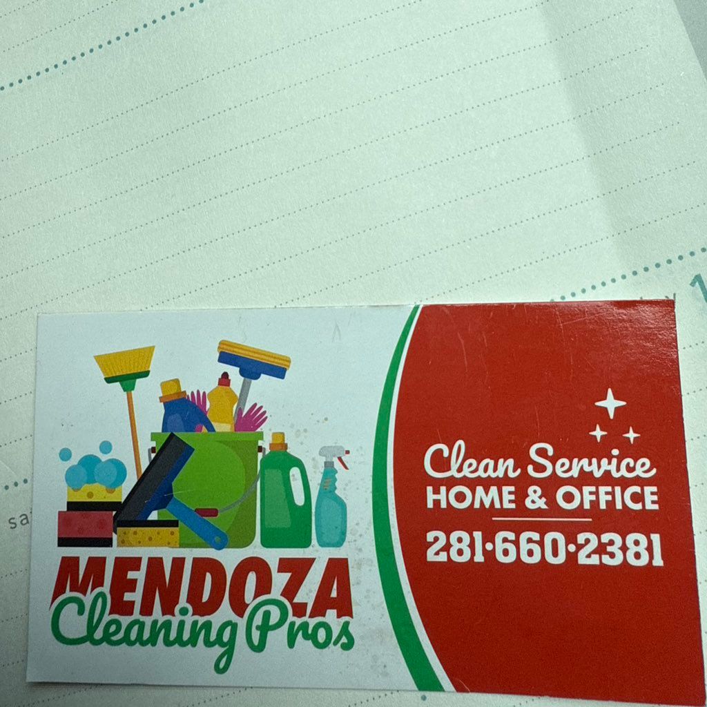Mendoza Cleaning pros