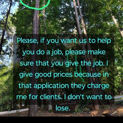 Avatar for Andersito tree service