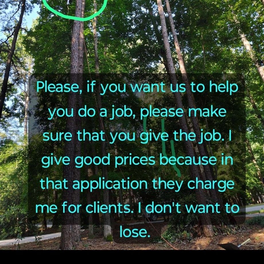 Andersito tree service