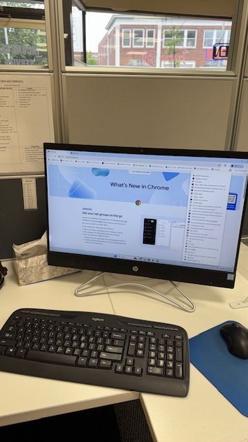Projects and media