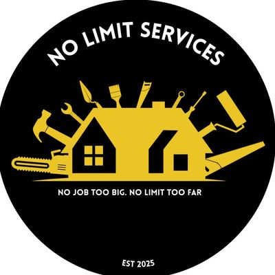 Avatar for NoLimit services