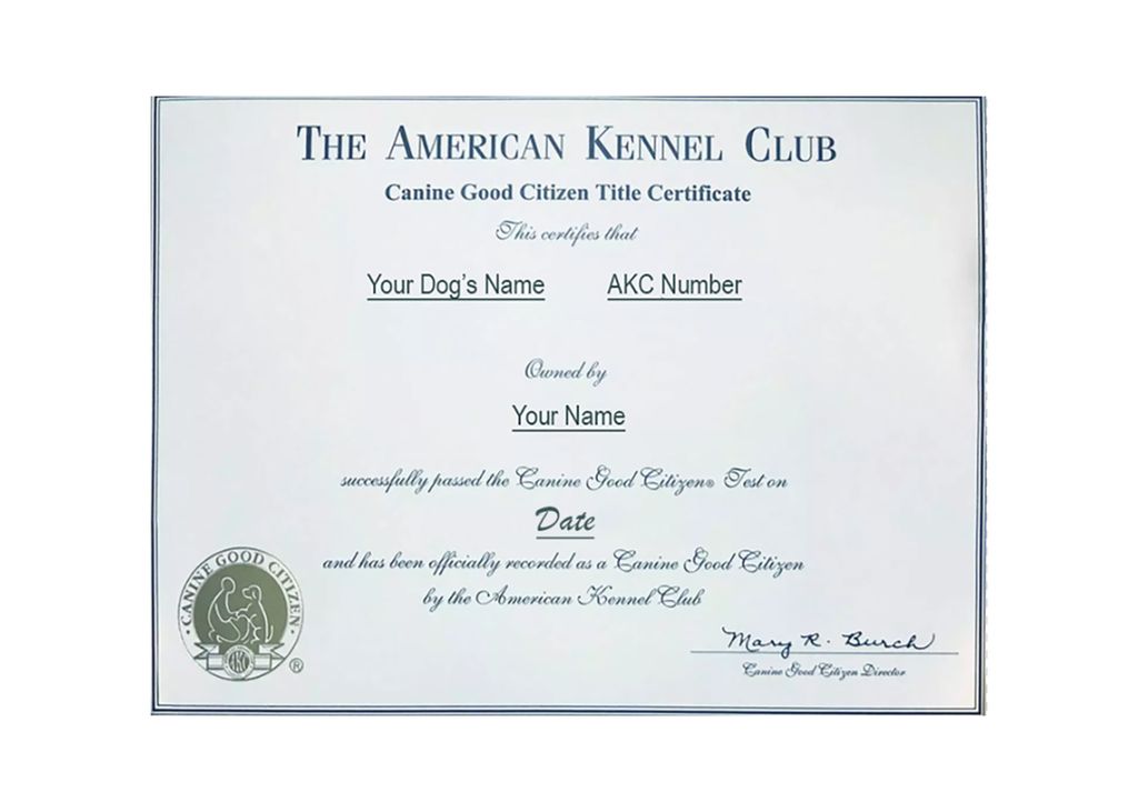 AKC Canine Good Citizen Certificate
