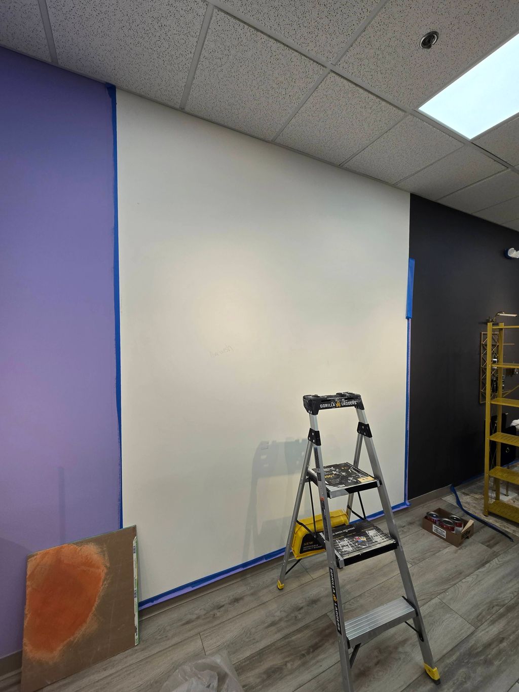 Projects and media