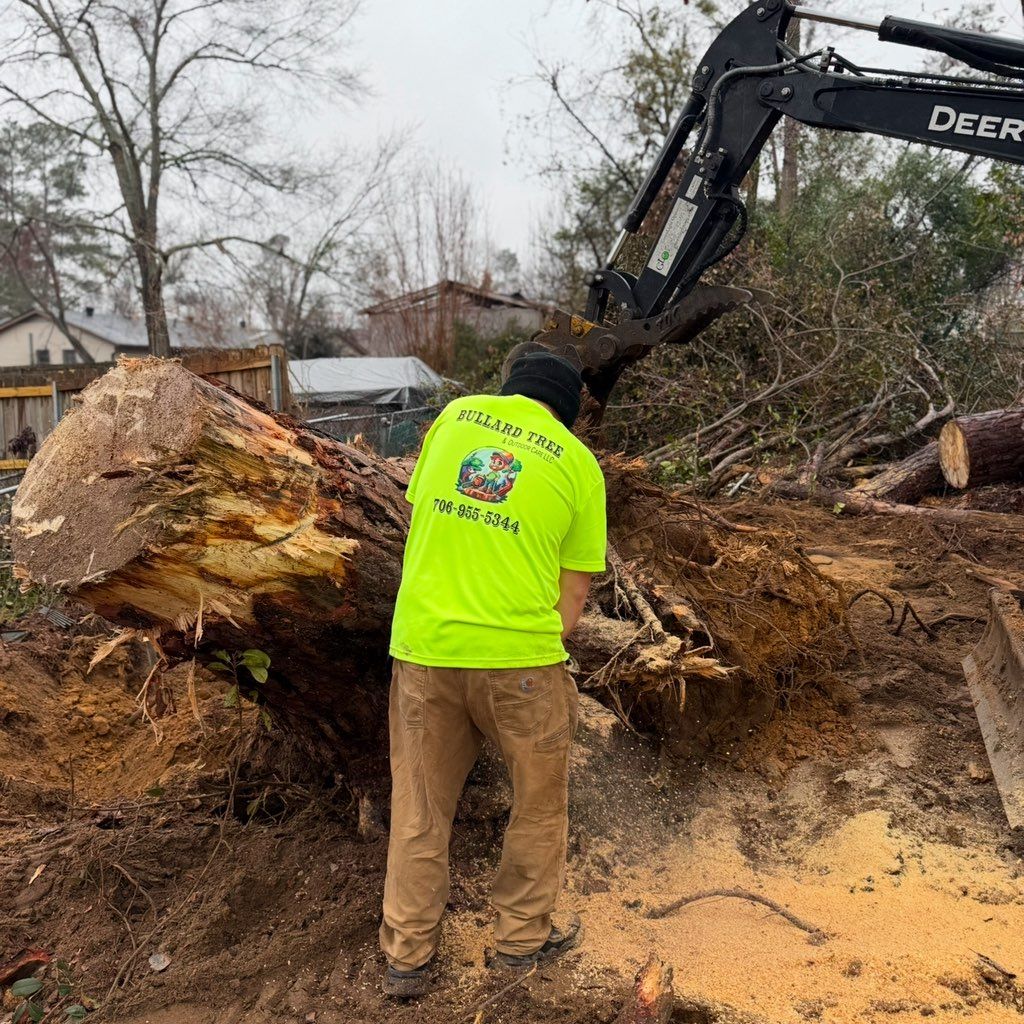 Bullard Tree & Outdoor Care
