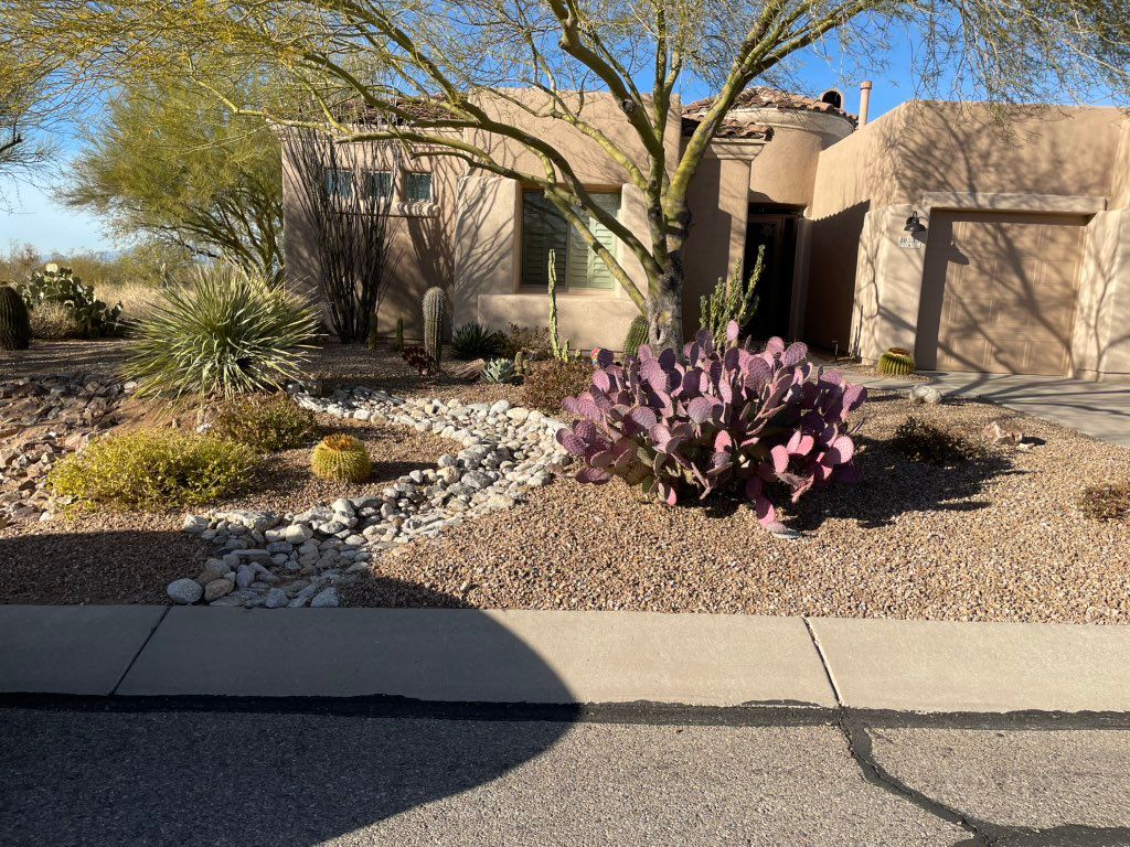 Maintained yard after a monthly visit 