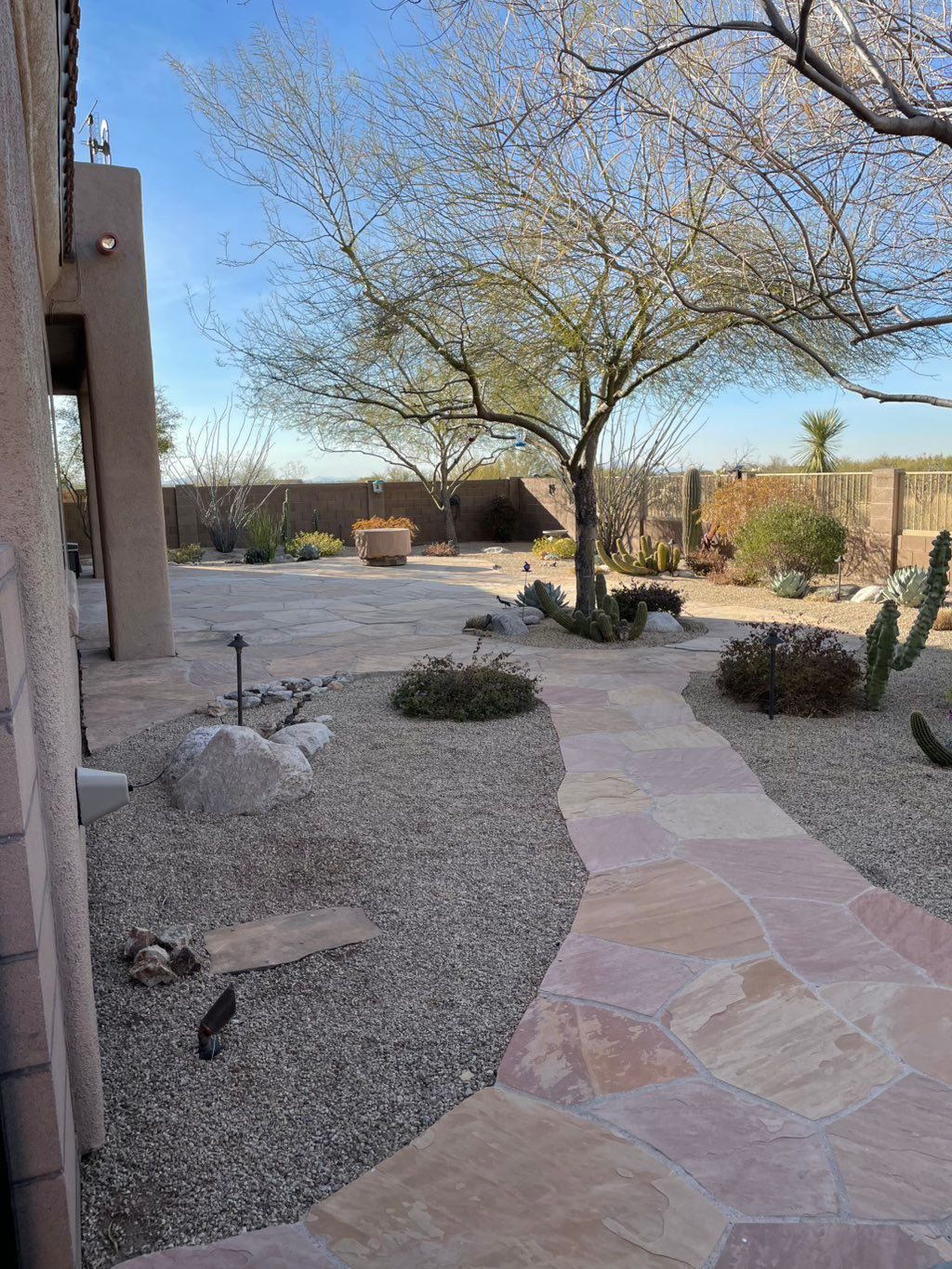 Backyard cleaned after monthly visit