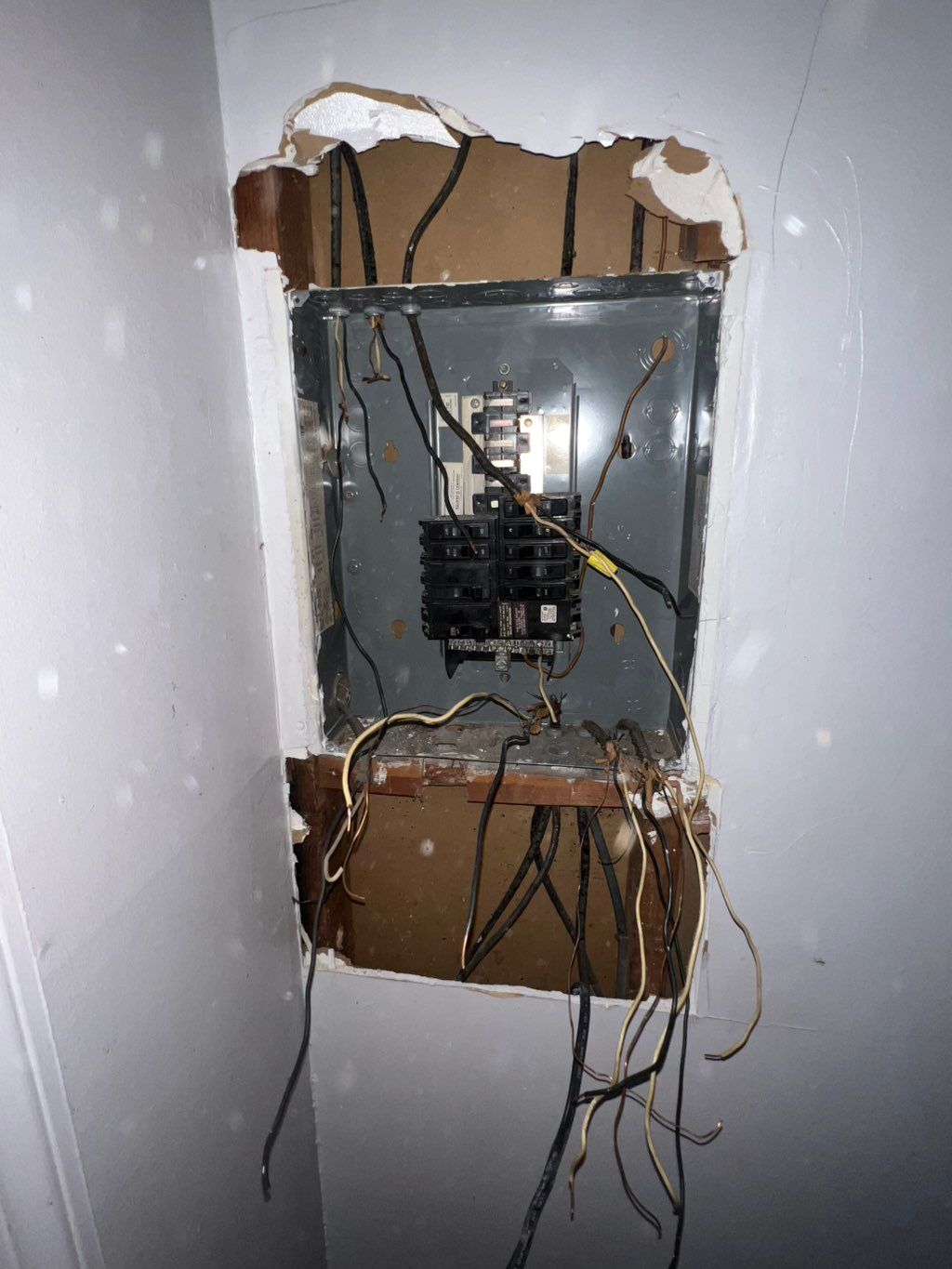 Projects and media