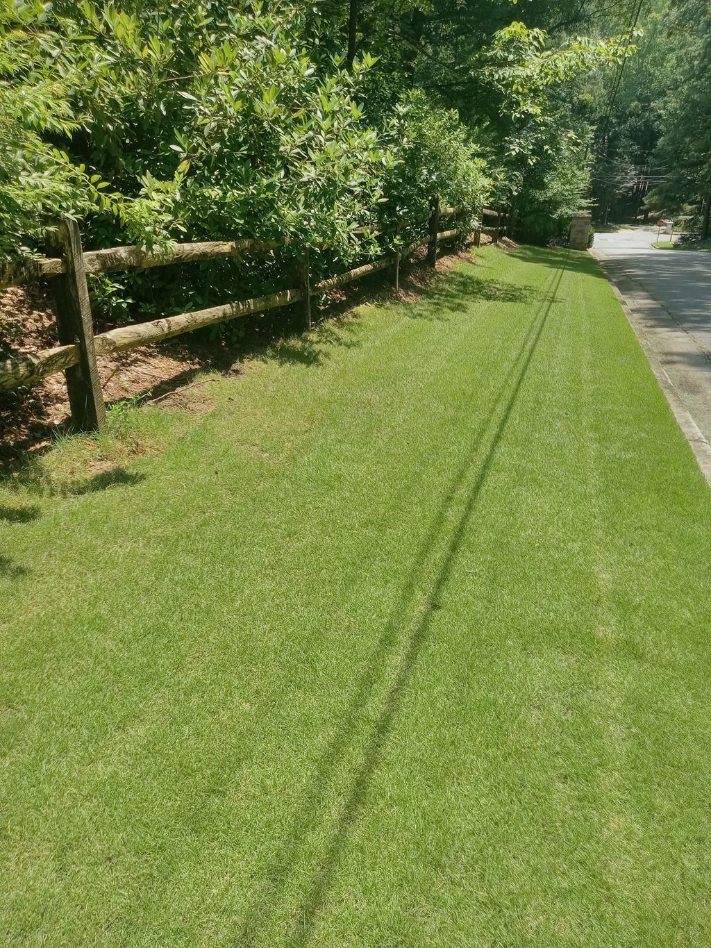 Side of he's property but different Grass style .