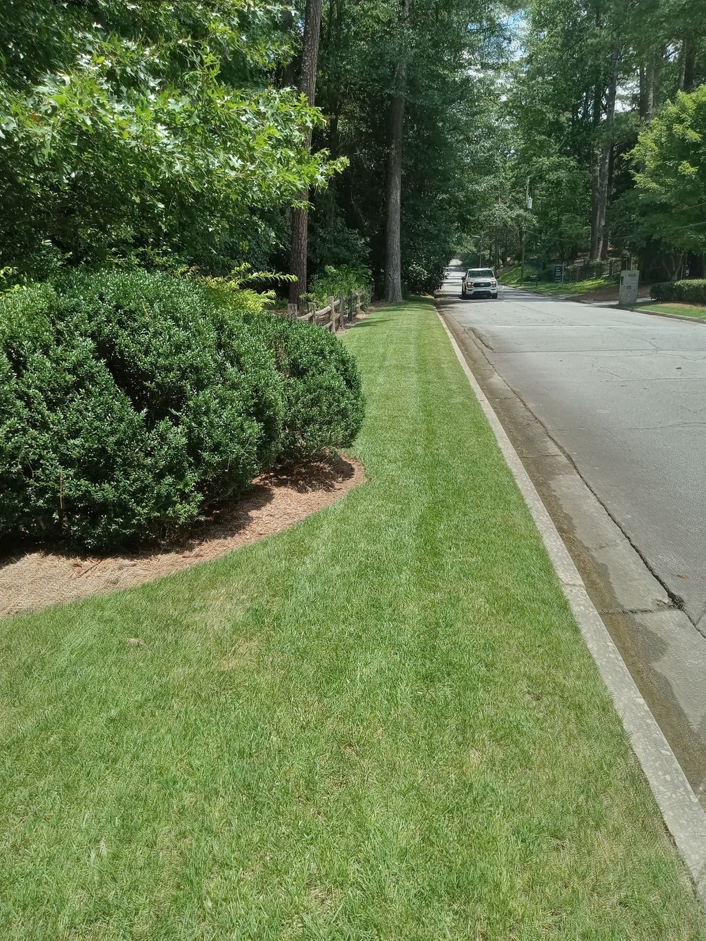 Side of he's property  fescue grass 3.5 Cut 