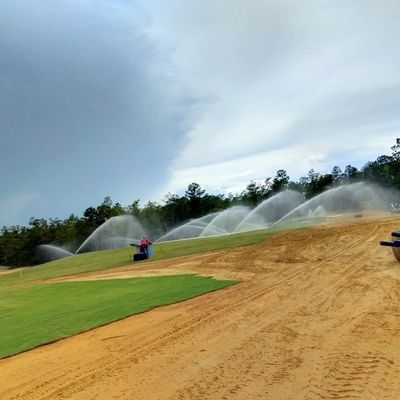 Avatar for Superlative lawn&Landscape service