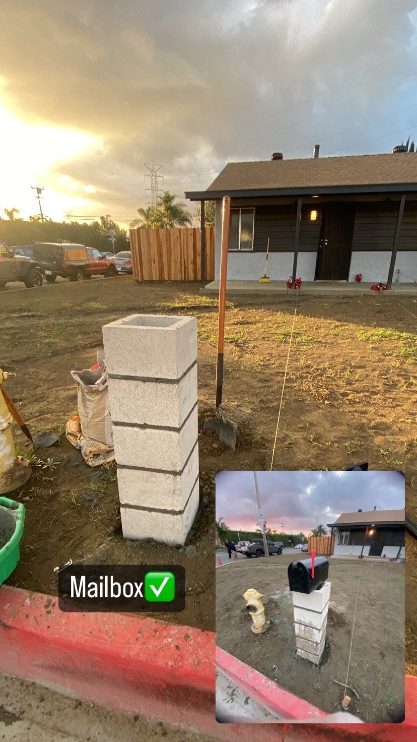 Projects and media