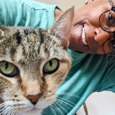 Avatar for Cruzer's Felines Purpose