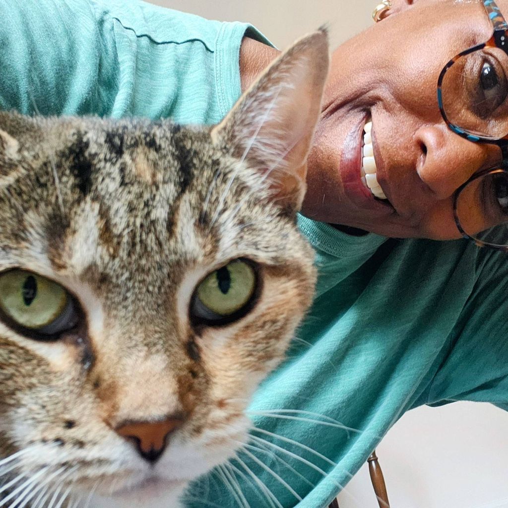 Cruzer's Felines Purpose