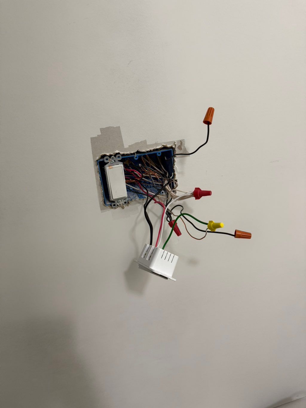 Projects and media