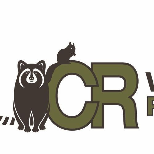 CR Wildlife Removal
