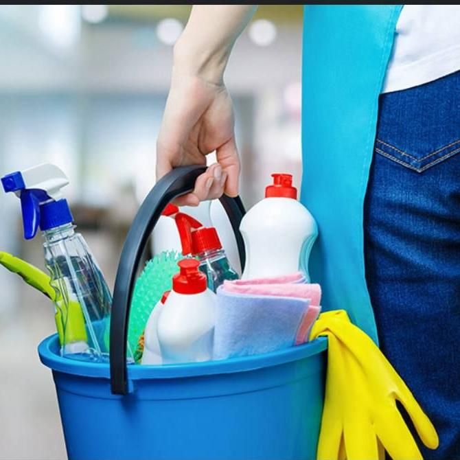 Nozis Home cleaning services