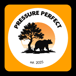 Avatar for PRESSURE PERFECT LLC