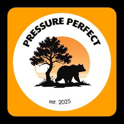 PRESSURE PERFECT LLC