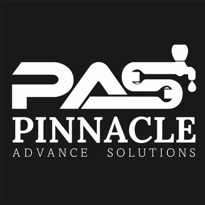 Avatar for Pinnacle Advance Solutions LLC
