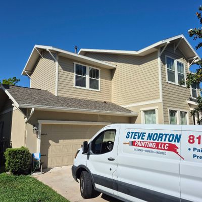 Avatar for Steve Norton Painting