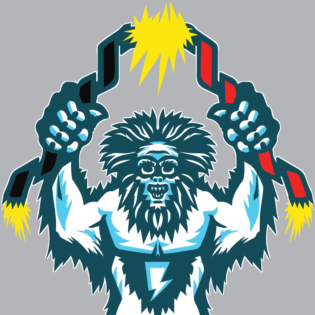 Yeti Ark Electrical