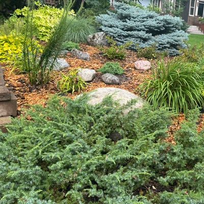 Avatar for Landscaping and Gardening  Co.
