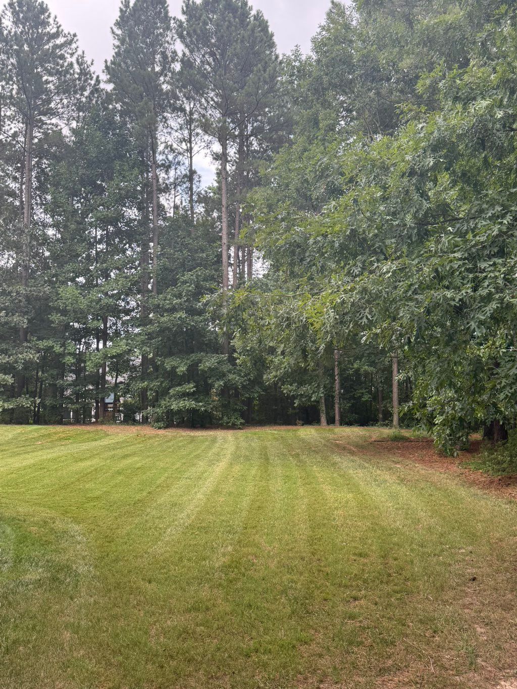 Lawn maintenance 