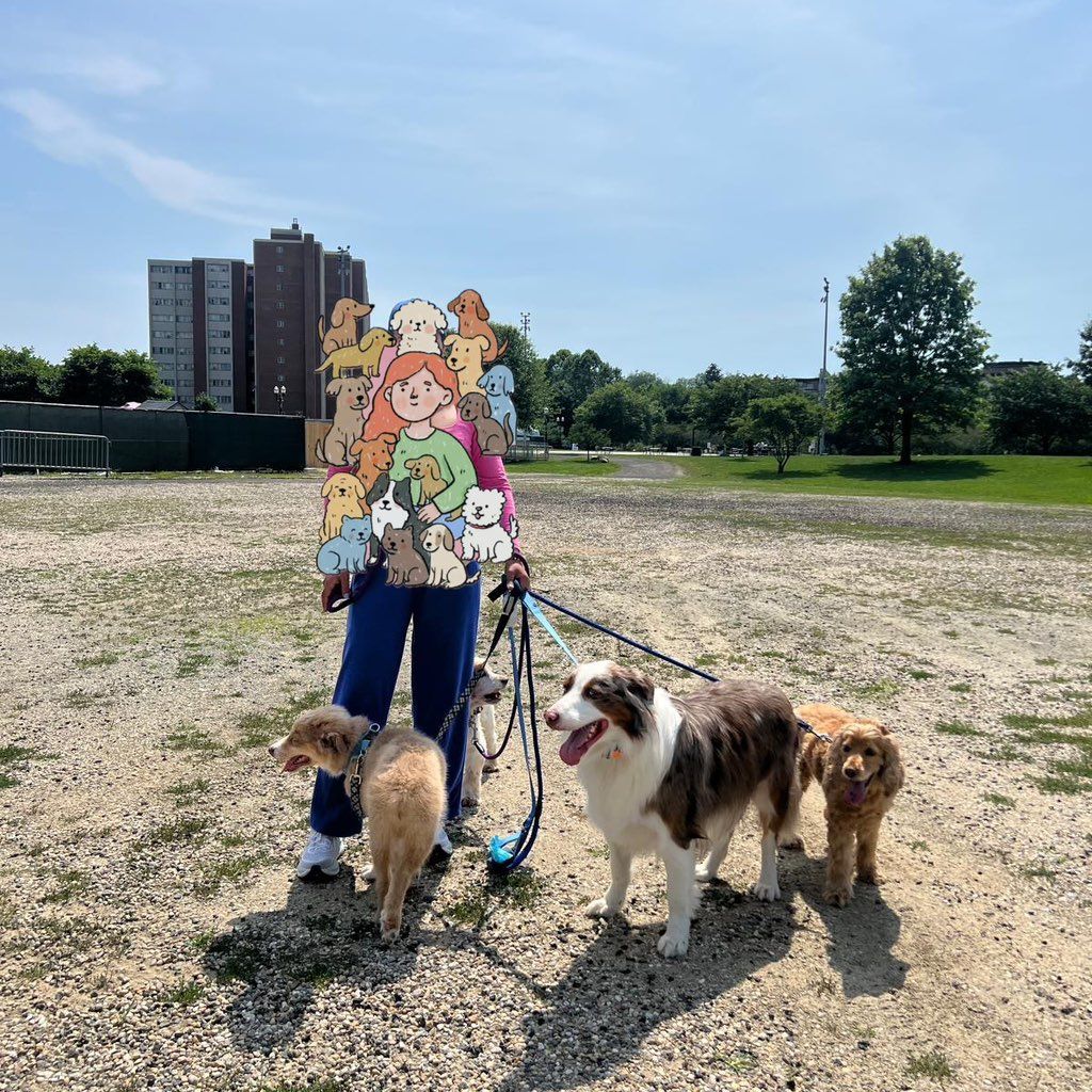 The furry adventure