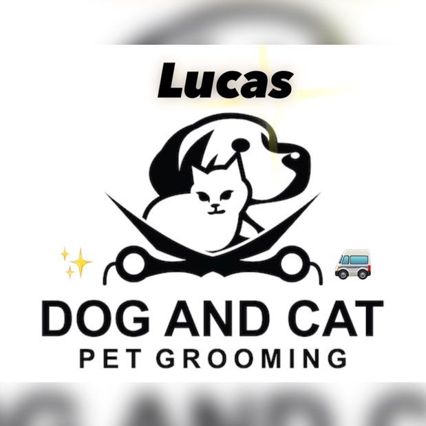 Lucas Pet Grooming VAN🐾🐈