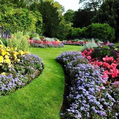 Avatar for Dongo's Landscaping