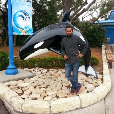 Avatar for Sanaf Tech Solutions