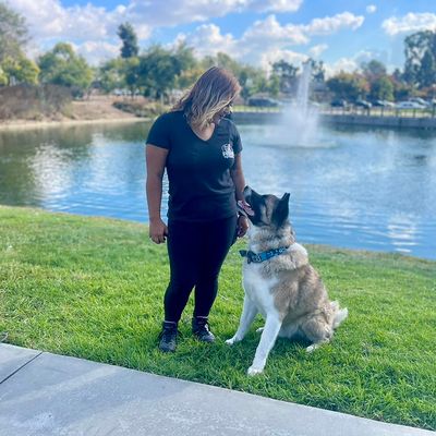 Avatar for PRK9 Dog Training