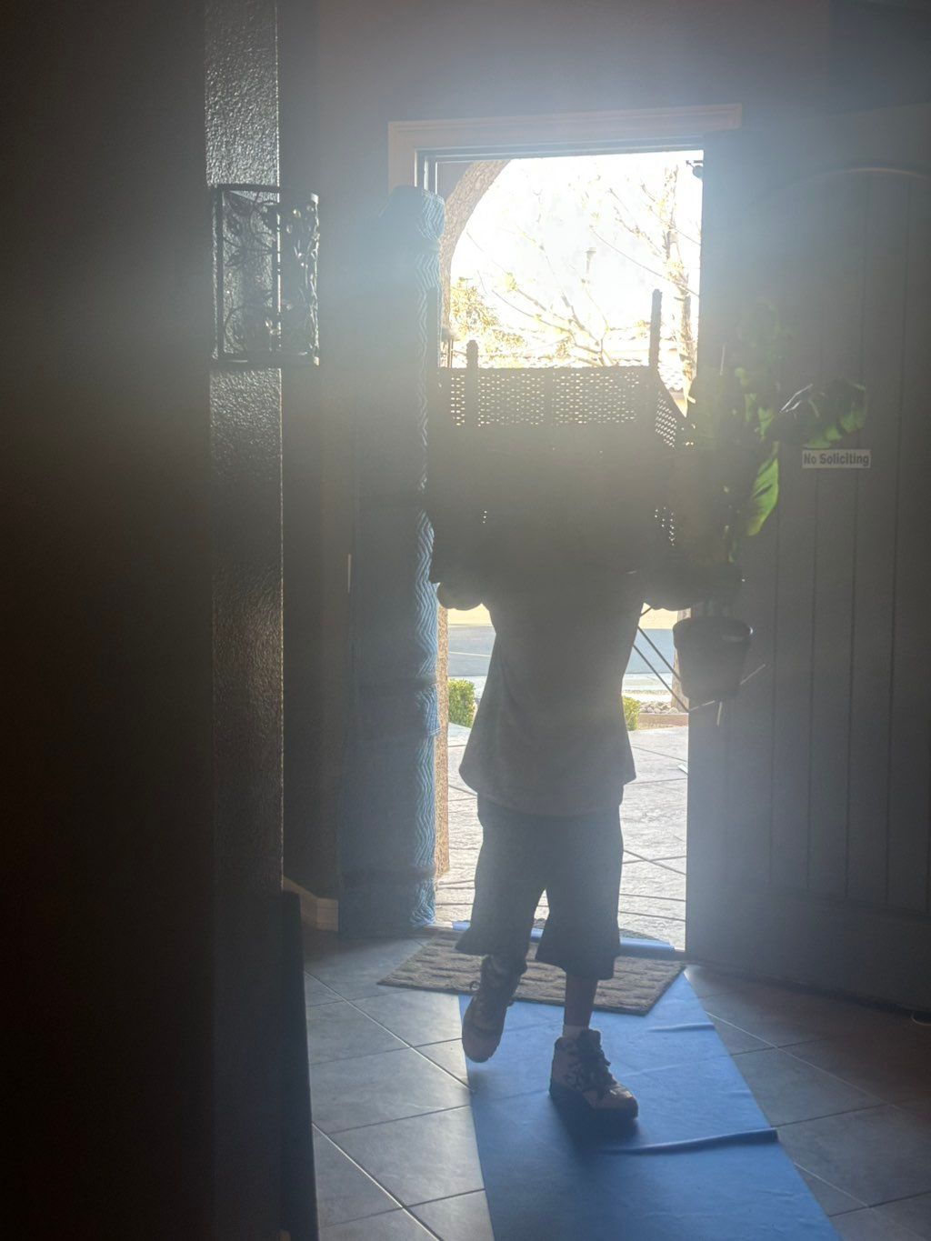 Utilizing door hinge pads and runner rugs to prote