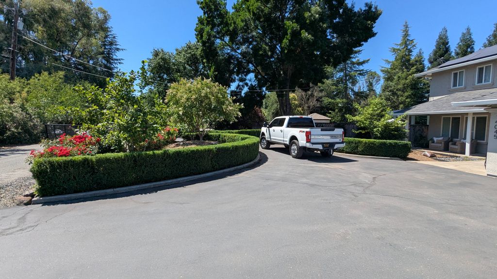 Boxwood Hedge Trimming (After)