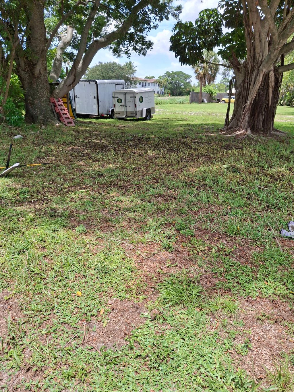 Tree Debris (After)