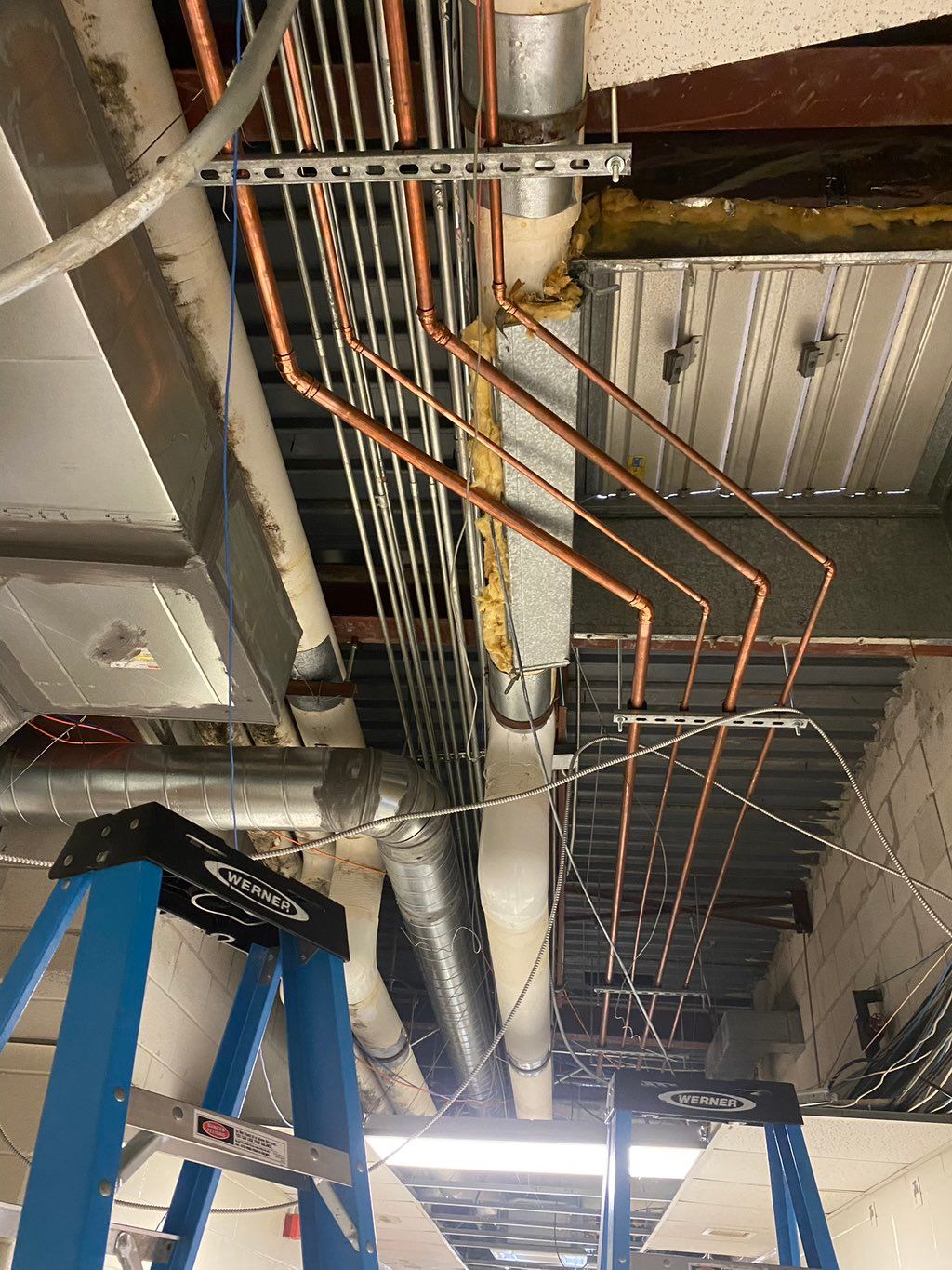 Projects and media