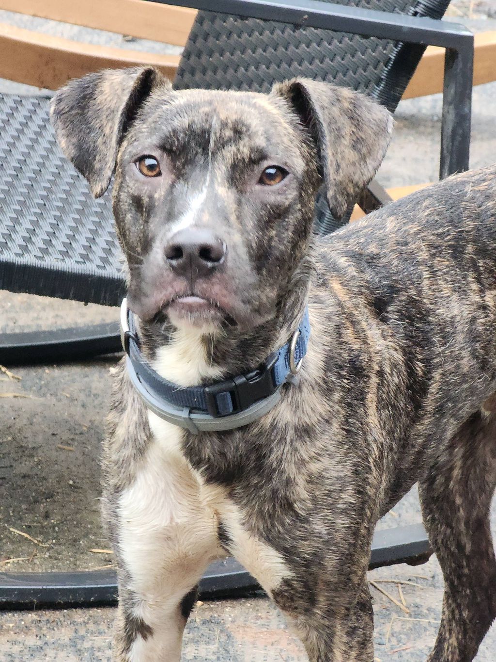 Duke is so handsome!