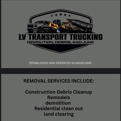Avatar for LV Transport Demo & Debris