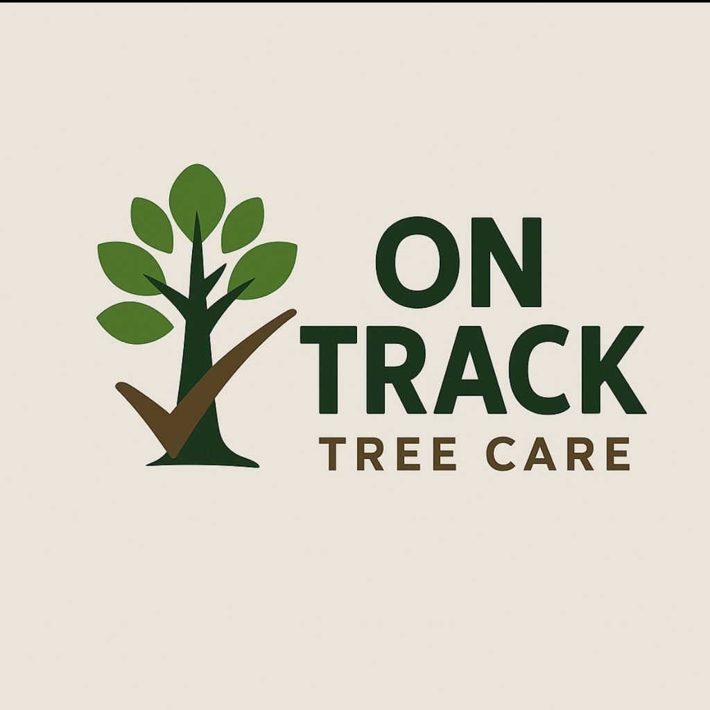 On Track Tree services