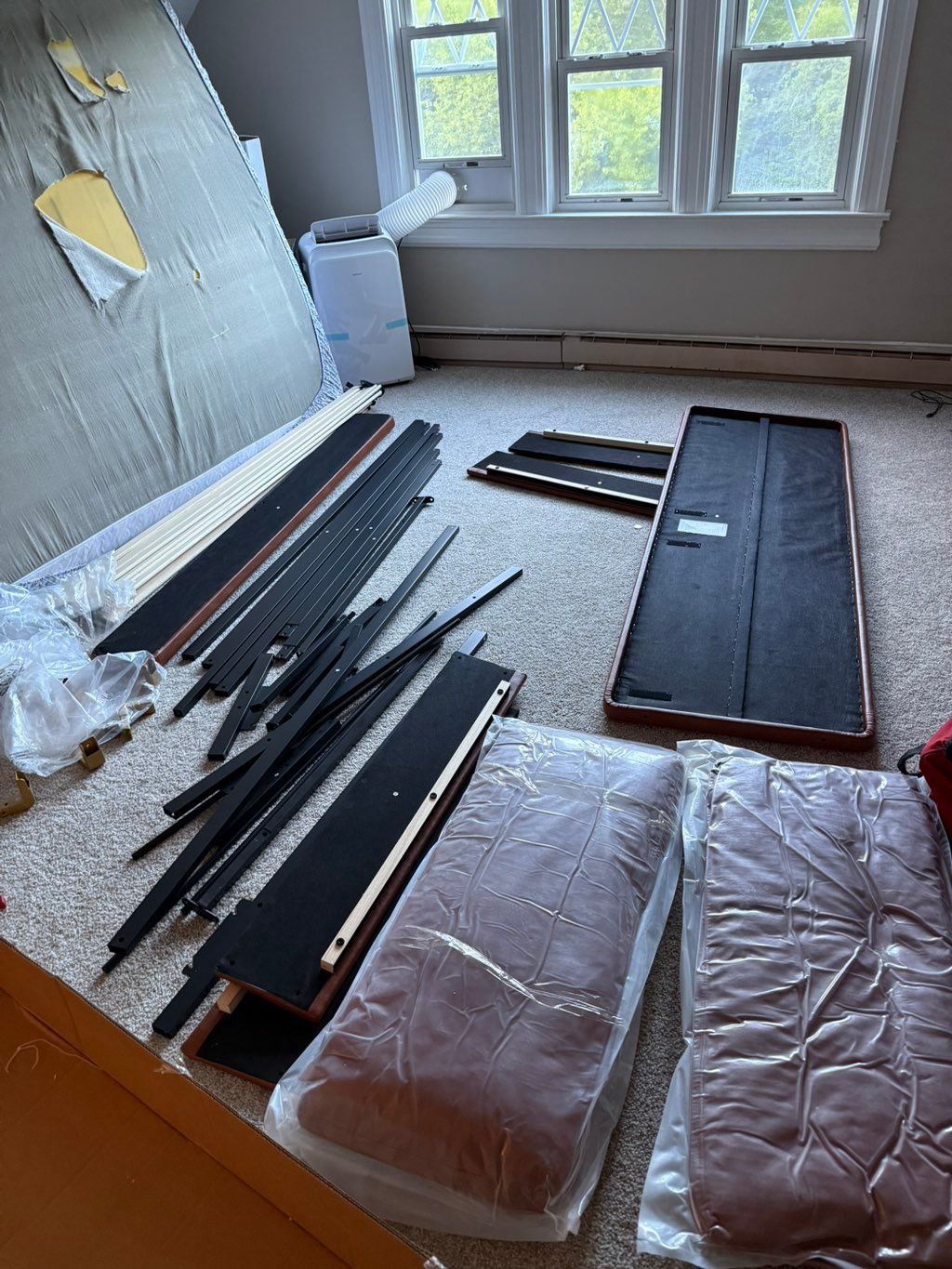 Projects and media