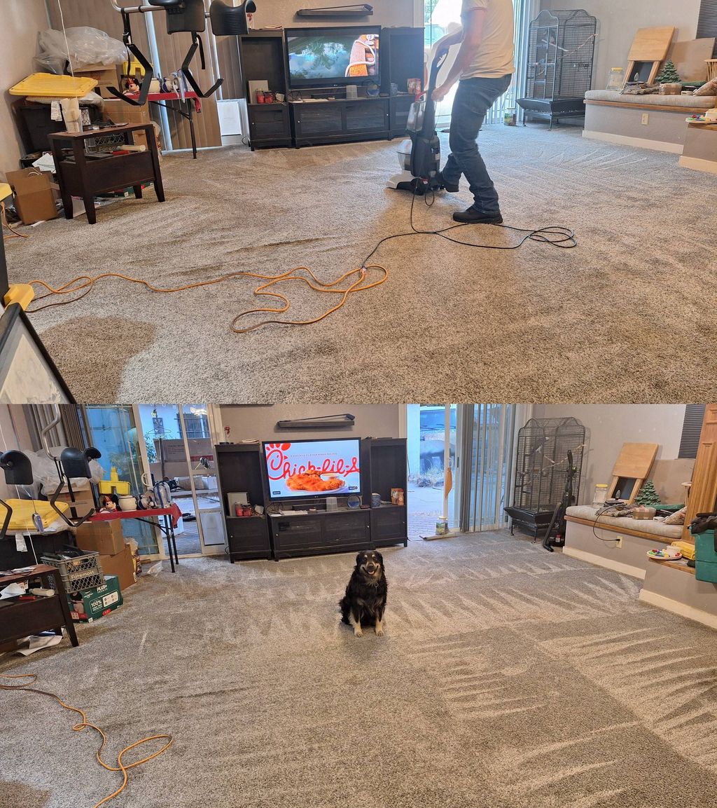 Carpet cleaning and shampooing