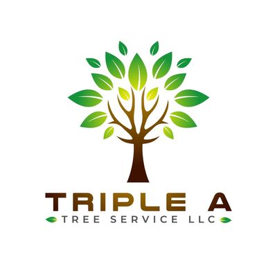 Avatar for Triple A Tree Service LLC