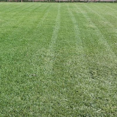 Avatar for jrods lawn care