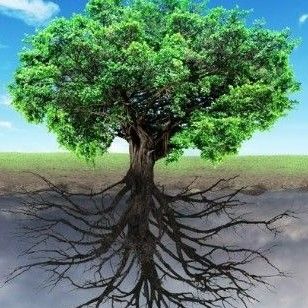 Avatar for Deeproots landscaping